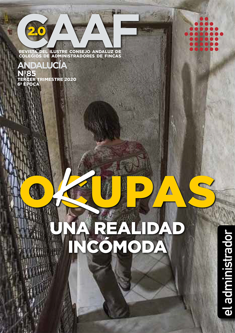 Revista 85