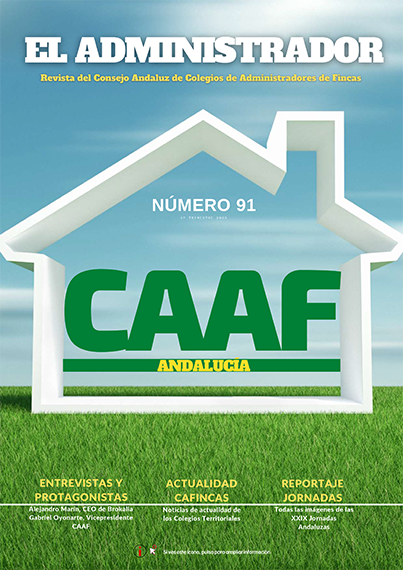 Revista caaf 91