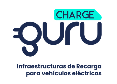 logo concentra endesa