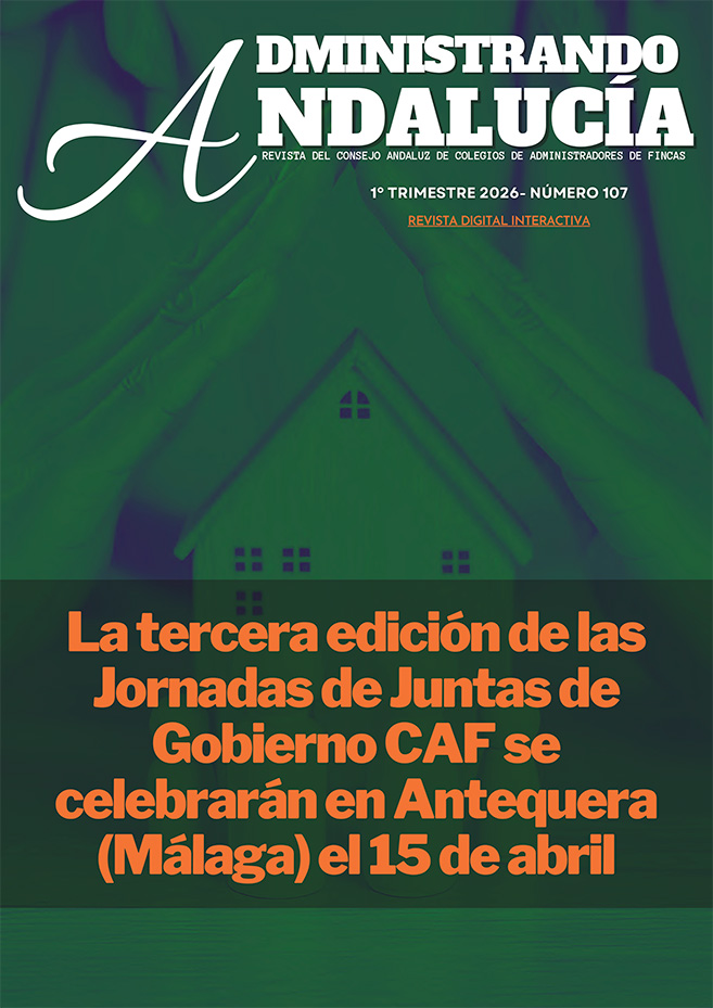 Revista caaf 91